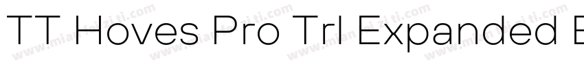 TT Hoves Pro Trl Expanded ExtraBold字体转换